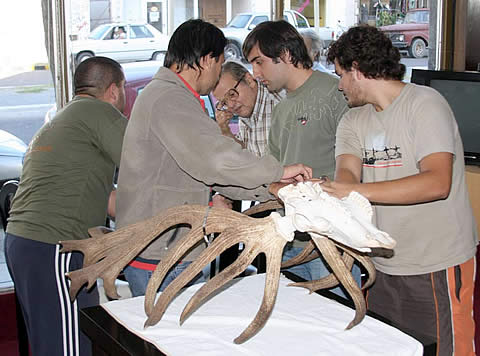 FOTO